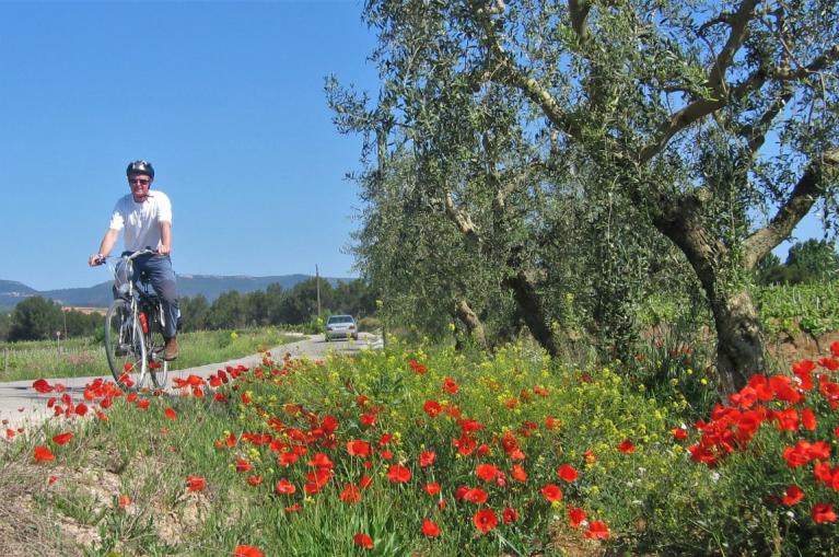 Cyclist in Baix Empordà