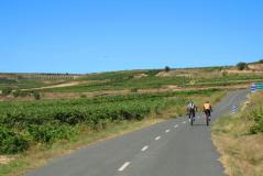 Cyclists in La Rioja road