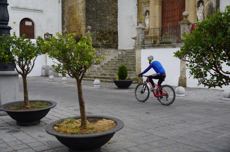 Cyclist in Andalucia